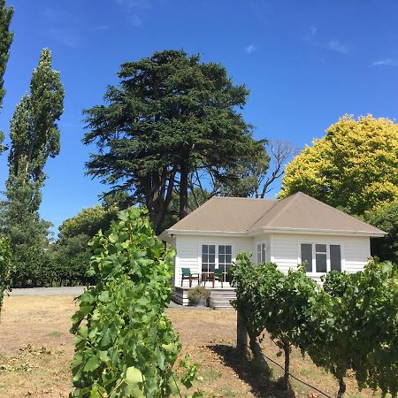 Tuki Vineyard Cottage ハブロック・ノース エクステリア 写真