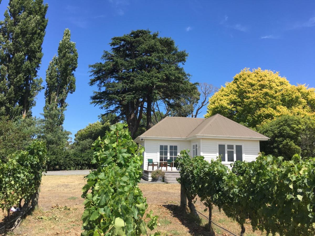 Tuki Vineyard Cottage ハブロック・ノース エクステリア 写真